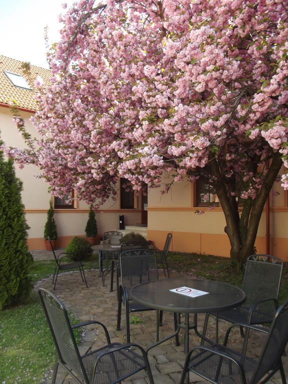 Pannon Hotel Bejelentkezes 20 Oraig, Check-In Until 20 O'Clock, Einchecken Bis 20 Uhr 莫哈奇 外观 照片